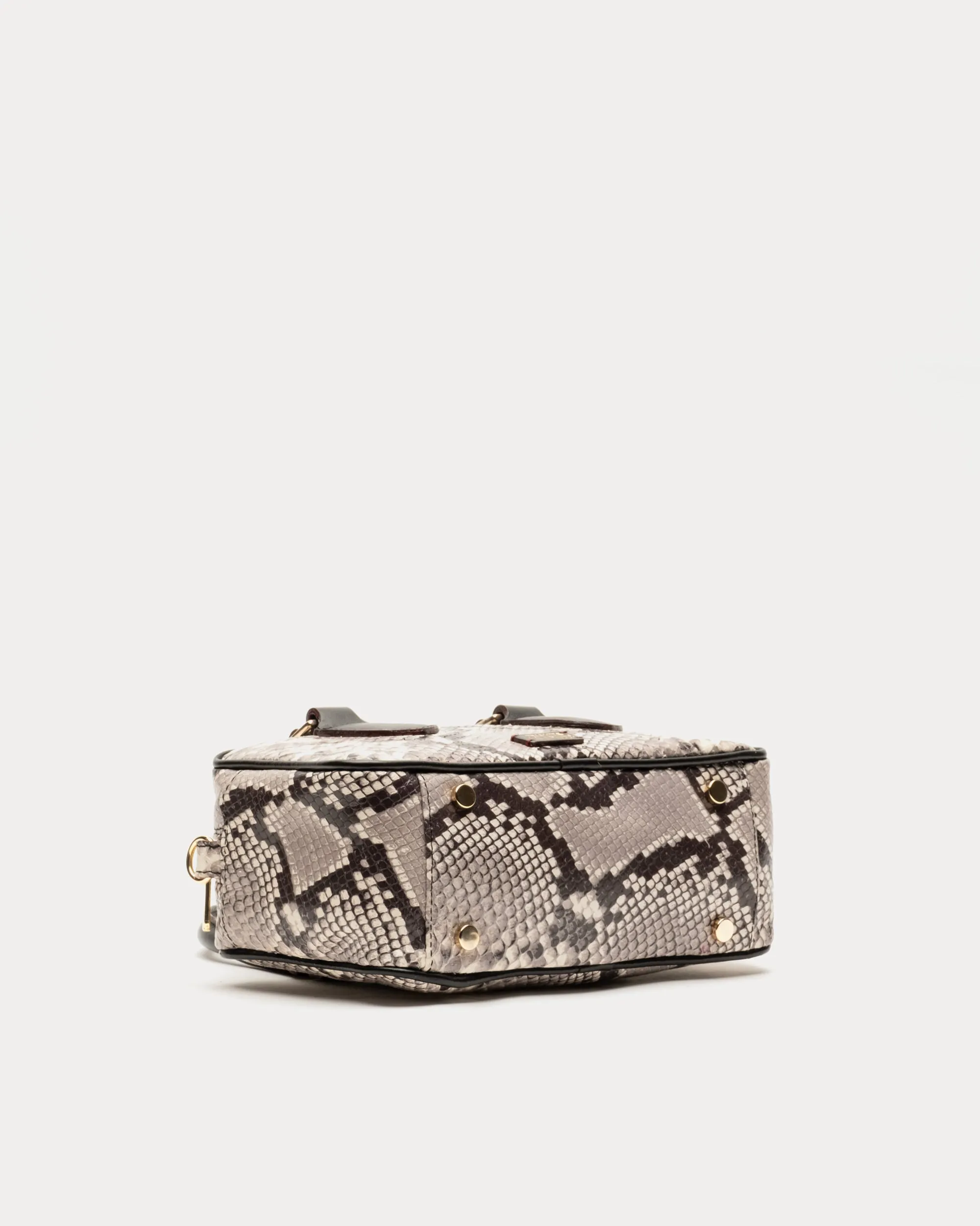 Paulie Snake Print Box Bag