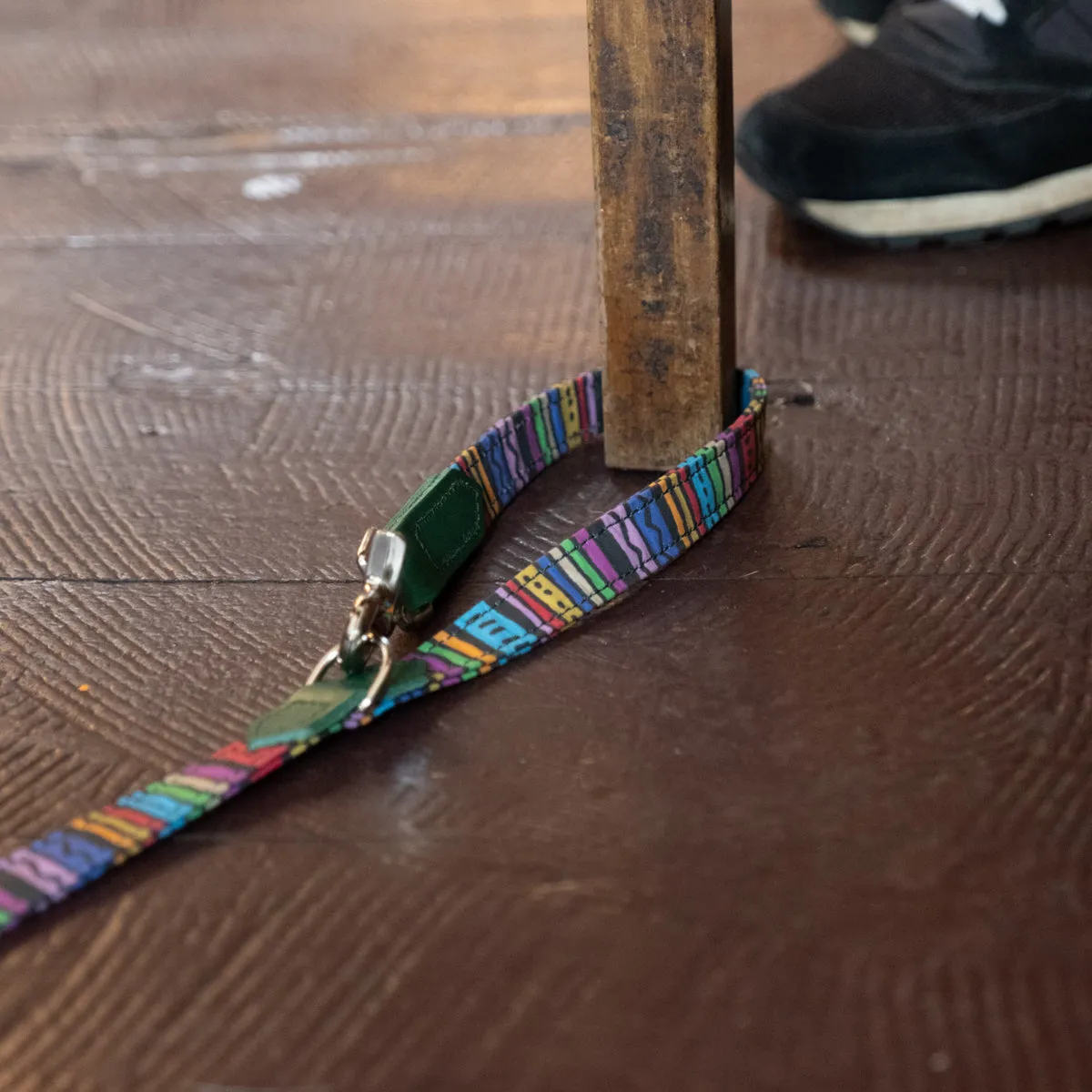 Rainbow Stripe Café Dog Lead