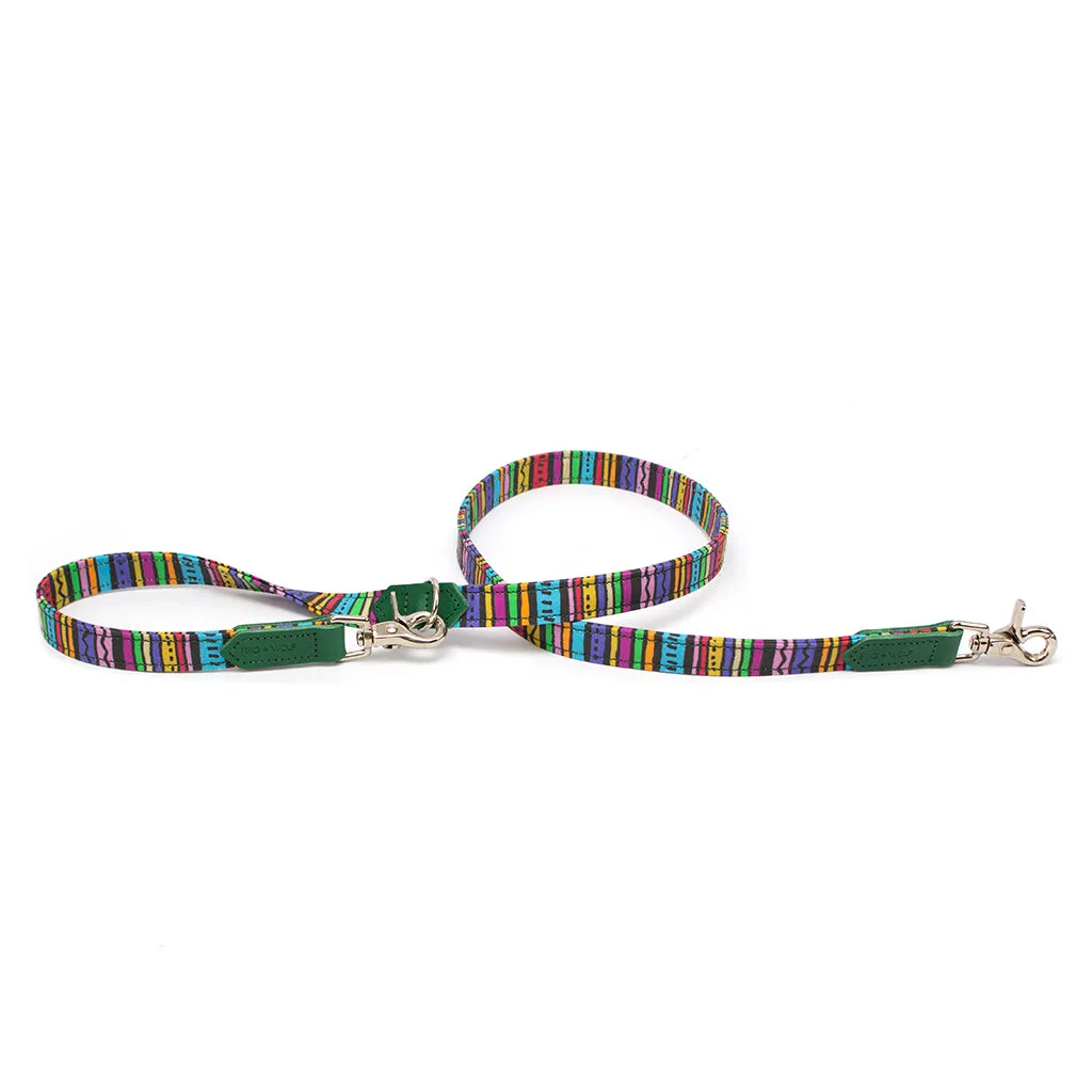 Rainbow Stripe Café Dog Lead